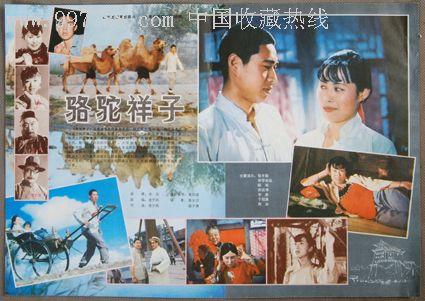 巴黎第八大学 Computer Science Degree Certificate